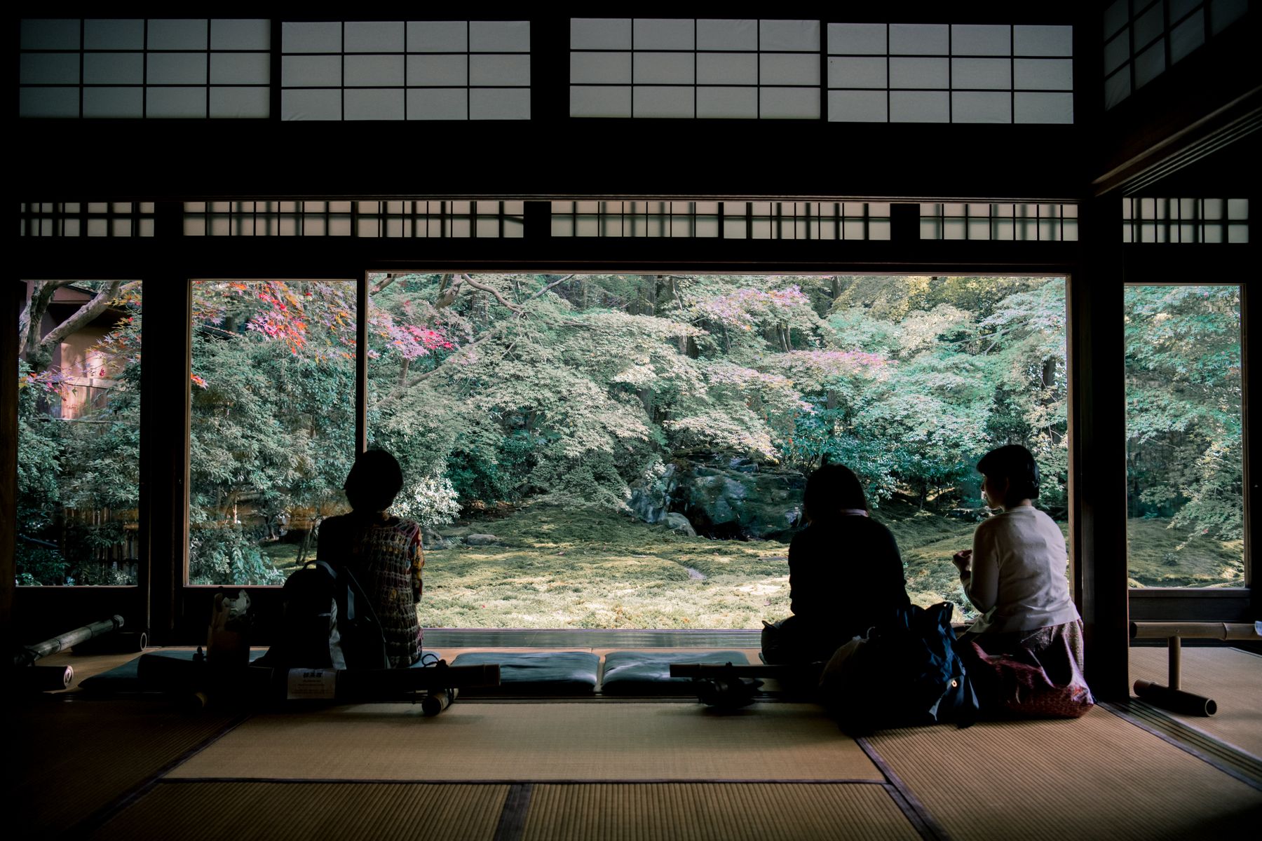 Khoảng nhìn ra vườn từ một không gian truyền thống ở Kyoto; không phải phòng ryokan được chào bán.