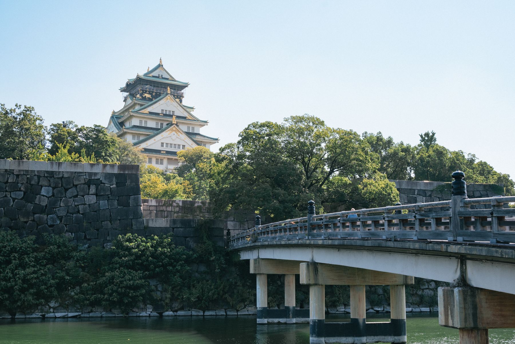 Lâu đài Osaka giữa không gian cây xanh.