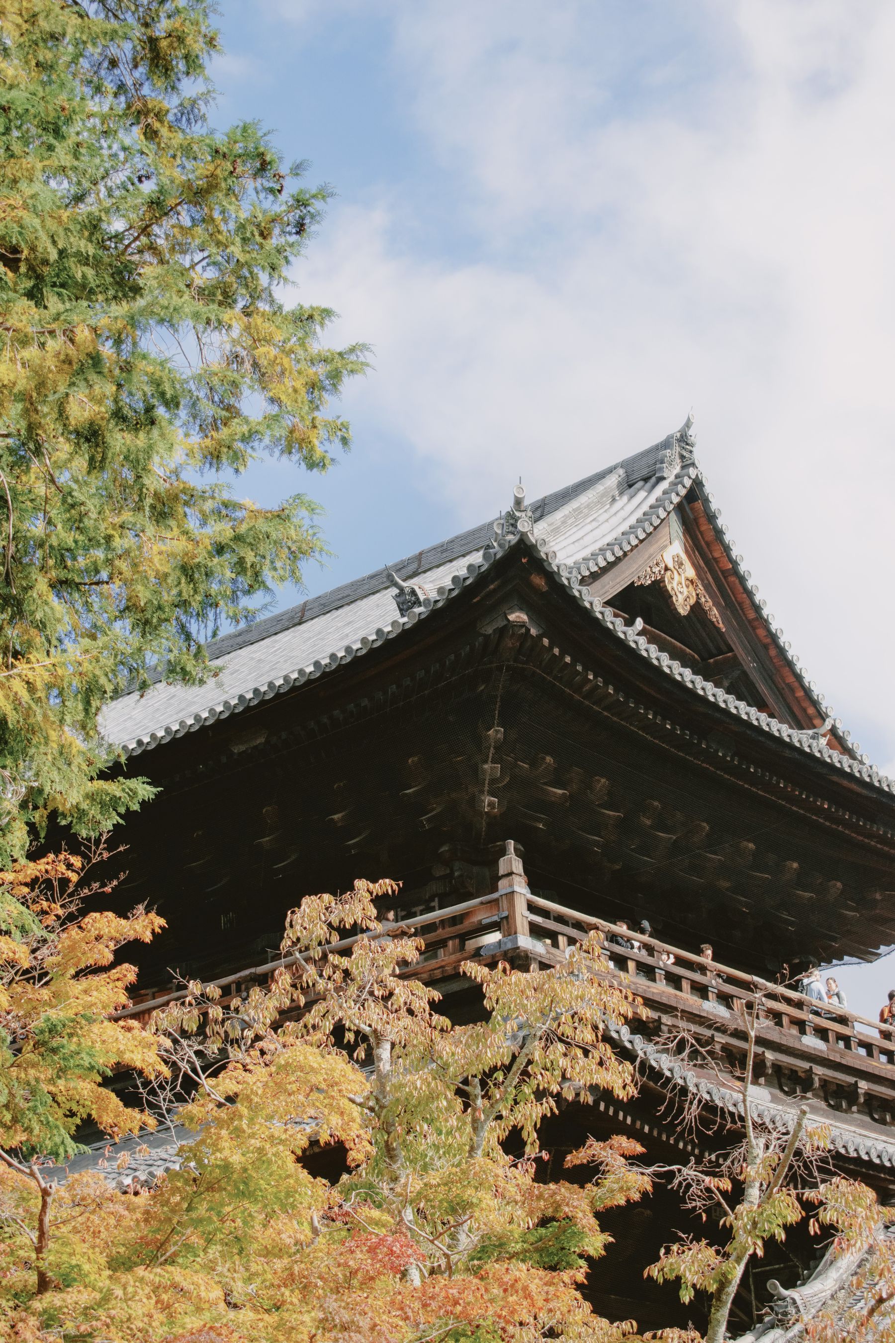 Kiến trúc và sắc lá mùa thu tại Kyoto.