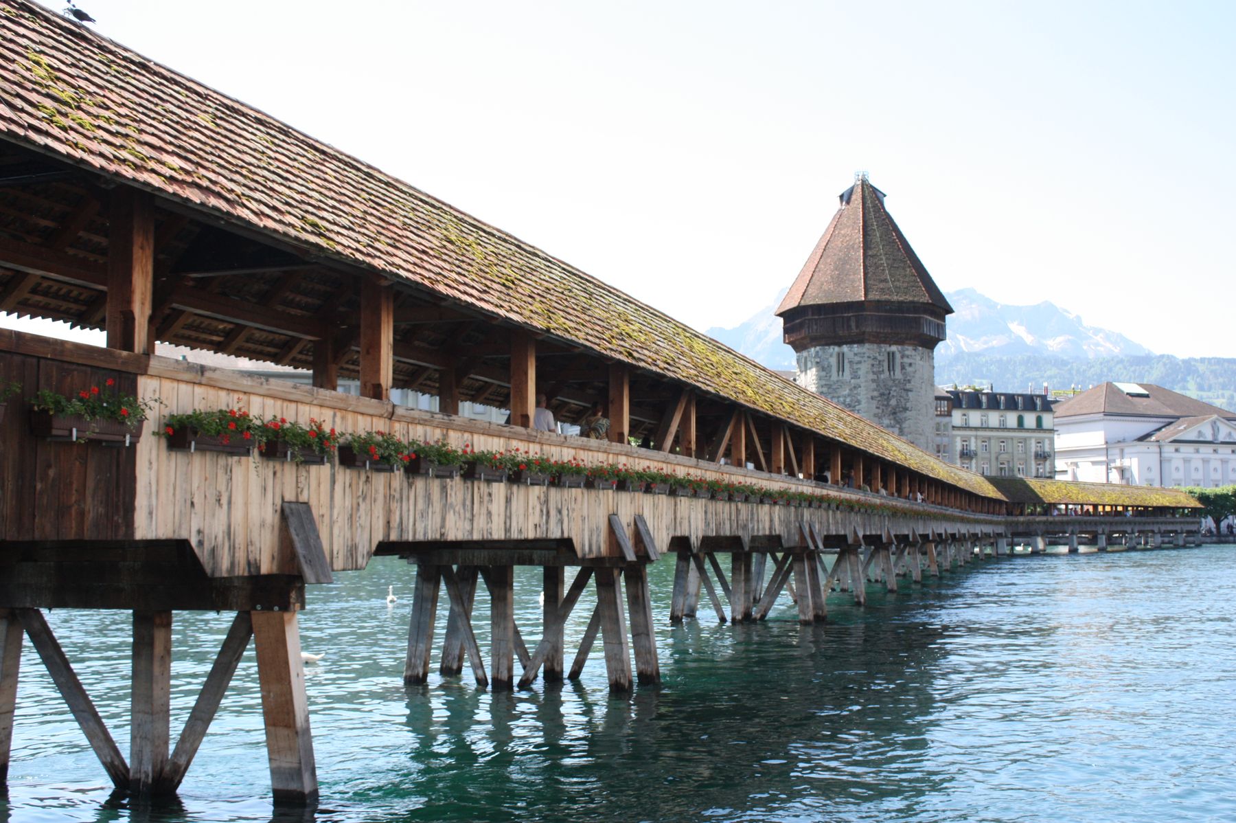 Chapel Bridge ở Lucerne, Thụy Sĩ.
